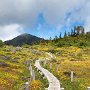 この時間になると、登山者が続々と登ってきます。